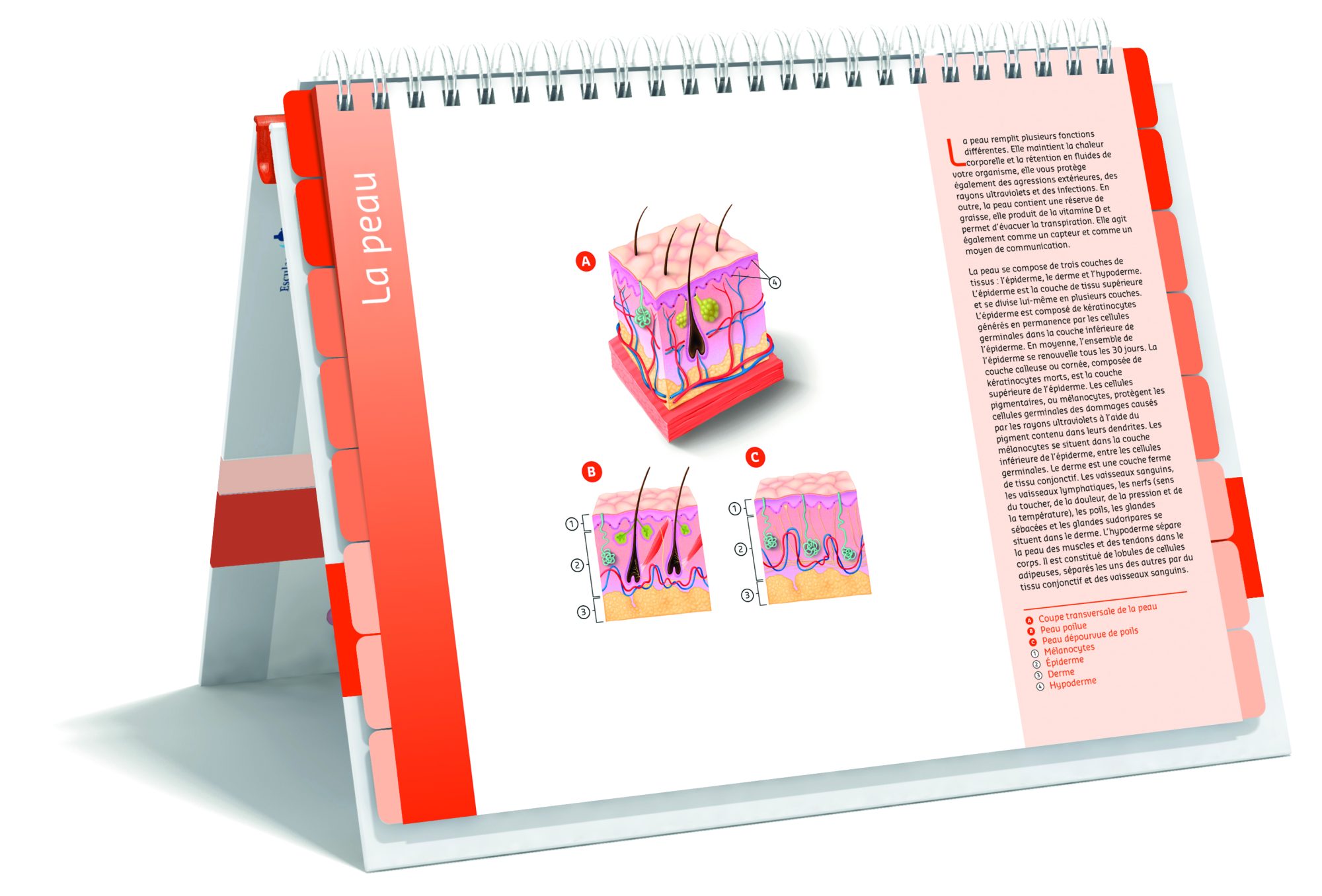 Zorgatlas Melanoom Frans